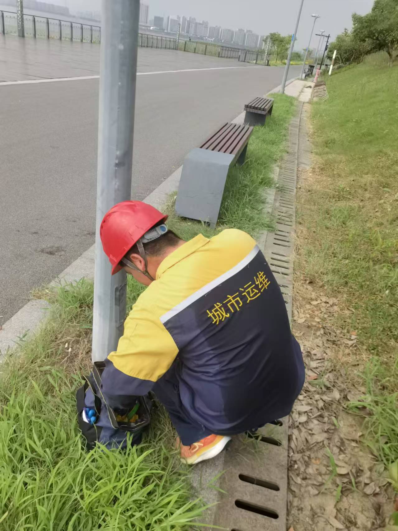江苏秋洋